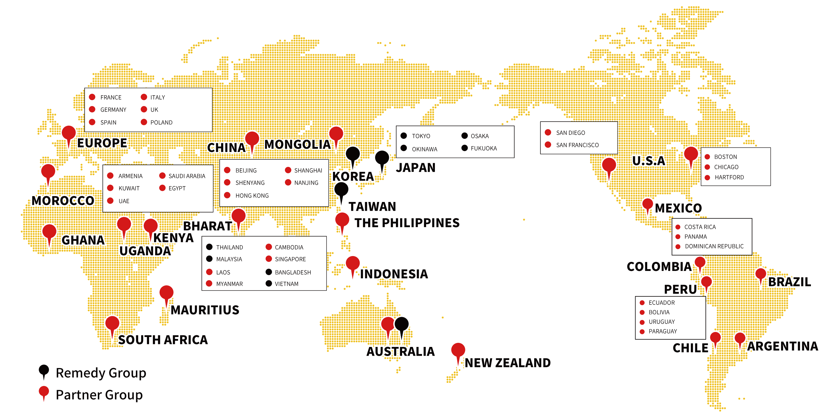 レメディグループを、日本、韓国、中国、台湾、ベトナム、マレーシア、タイ、ヨーロッパに、パートナーグループを、中国、バングラデシュ、インド、シンガポール、インドネシア、フィリピン、ヨーロッパ、エジプト、モロッコ、ガーナ、ケニア、モーリシャス共和国、オーストラリア、アメリカに有しています。