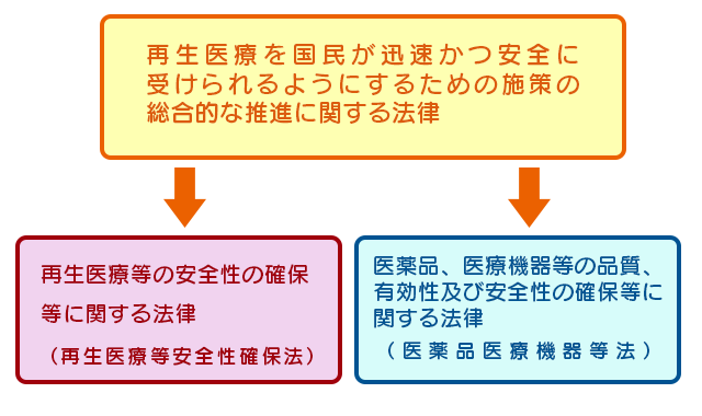 再生医療三法