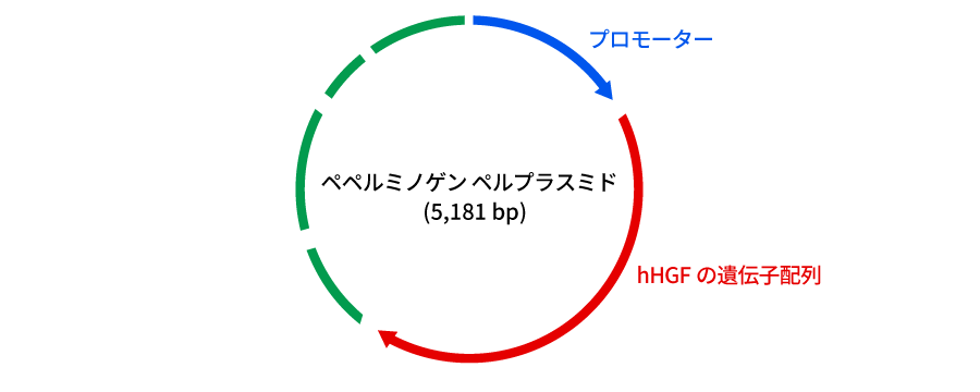 コラテジェン（一般名ペペルミノゲン　ペルプラスミド）