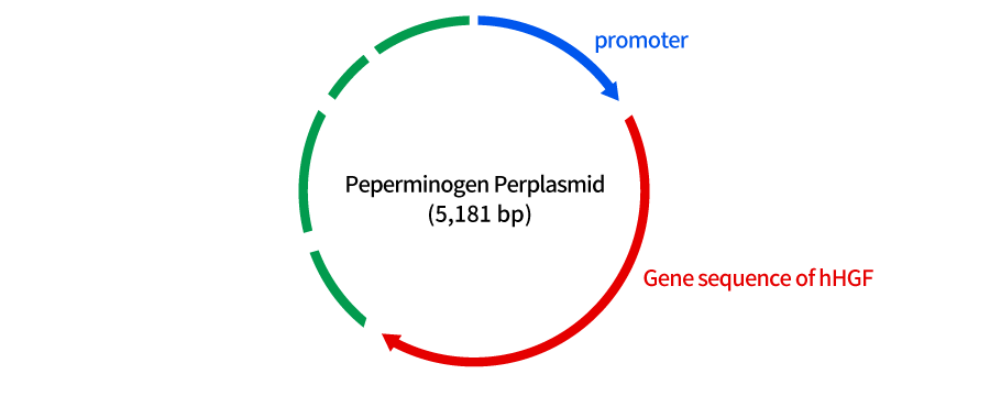 Collategene (generic name: Beperminogene Perplasmid)