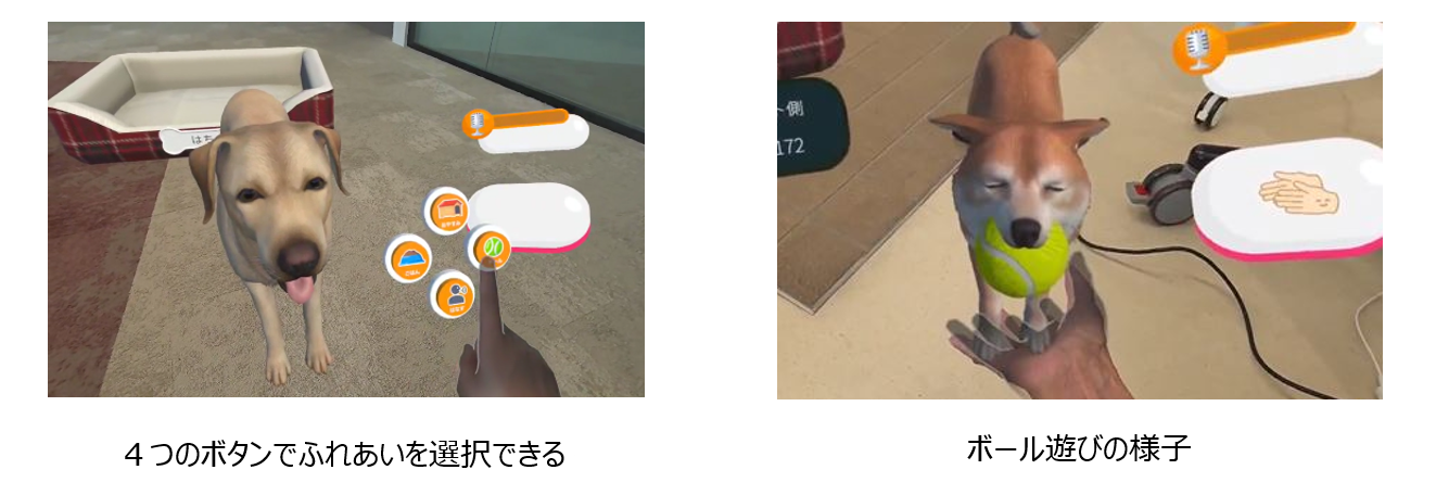 遊んでいる様子